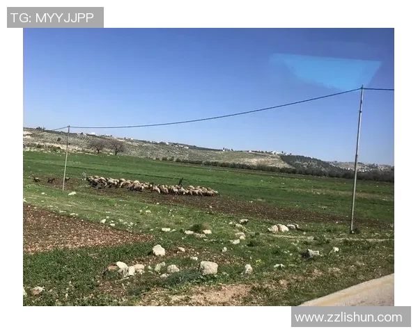 探索阿拉巴的魅力与文化底蕴，揭开这片土地的神秘面纱