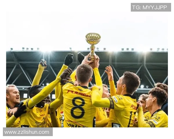 纽伦堡与汉堡今日比赛比分结果揭晓精彩瞬间回顾