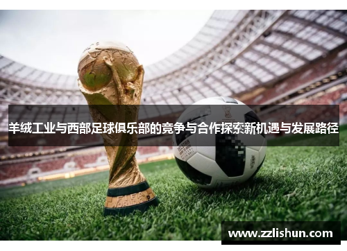 羊绒工业与西部足球俱乐部的竞争与合作探索新机遇与发展路径
